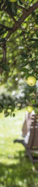 Sommerromantik pur mit lauschigen Ecken, verschwiegenen Nischen, Wasserplätschern und Vogelzwitschern.