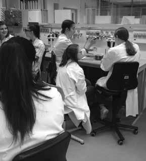 Das KoMM - experimental (KoMM-X)-Praktikum zur Molekularbiologie an der Medizinischen Fakultät der Universität des Saarlandes in
