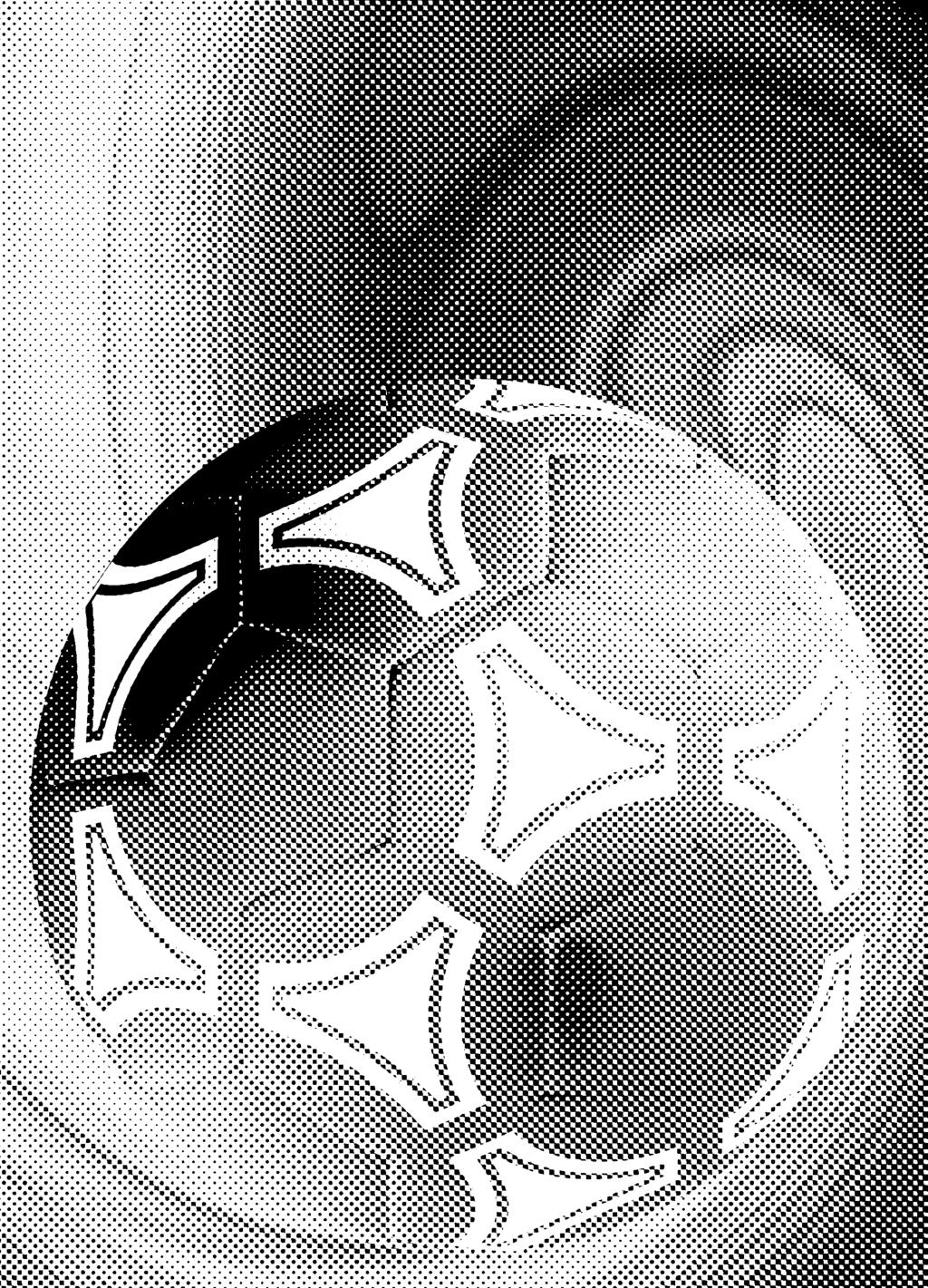 Seite 18 FK Austria Wien SK Sturm Graz Ex-Grazer bei der Austria Name Verein Rubin Okotie Austria
