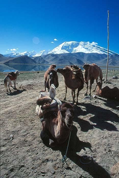 am "Treffpunkt" des Pamir- mit dem Karakorum Gebirge, also
