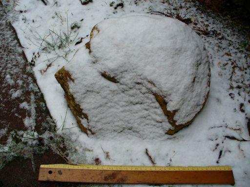 Neandertalerkopf Neanderthal head II, schneebedeckt snow-covered