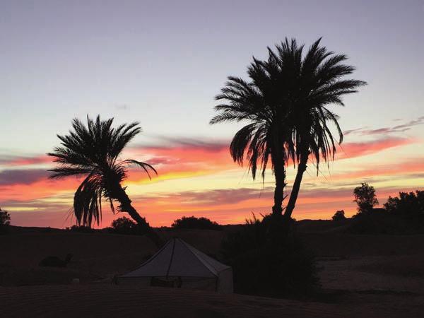 14.10. Rückfahrt nach Marrakesch 15.10. Rückflug nach Deutschland oder Verlängerung in Marrakesch Täglich 4-5 Std.