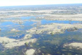 Tag 1 bis Tag 3 Okavango Delta Pom Pom Camp 2 Nights Flight Package Maun (Safari Tent) Der Okavango ist mit 1600km Länge der drittgrößte Fluss im südlichen Afrika und zählt zu den bemerkenswertesten