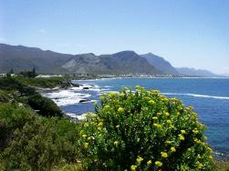 Von hohen Bergketten und breiten Stränden bis zu üppig grüner Fynbos Vegetation und karger Halbwüste ist nahezu alles in grenzenloser