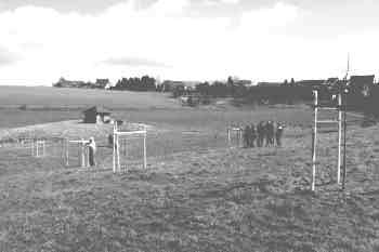 Dieser erste Abschnitt umfasst das Waldstück zwischen Gemeinschaftshaus in Richtung Werlenbach bis etwa zur Schutzhütte ( Ahl Schul ).