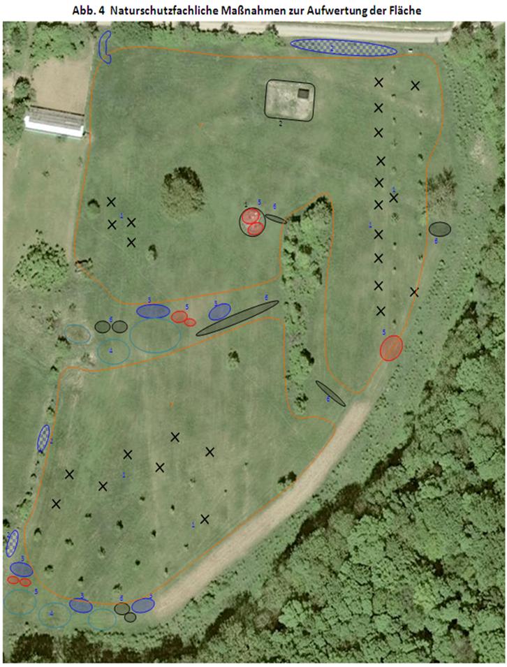 Landschaft Schaffung ökologisch wertvoller Areale Naturschutzfachliche Maßnahmen zur Aufwertung z.b.