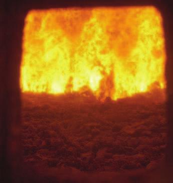 Thermische Biomassenutzung - Verbrennungstechnologien: Rostfeuerung - Bedeutung