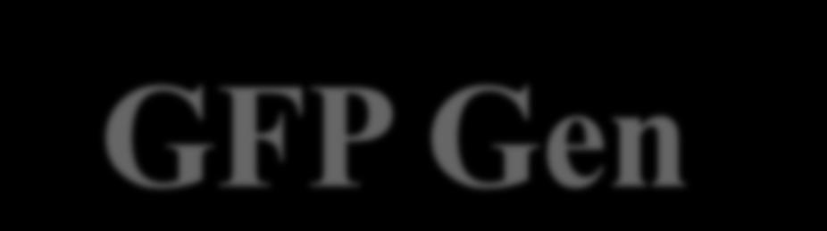 GFP Gen 10