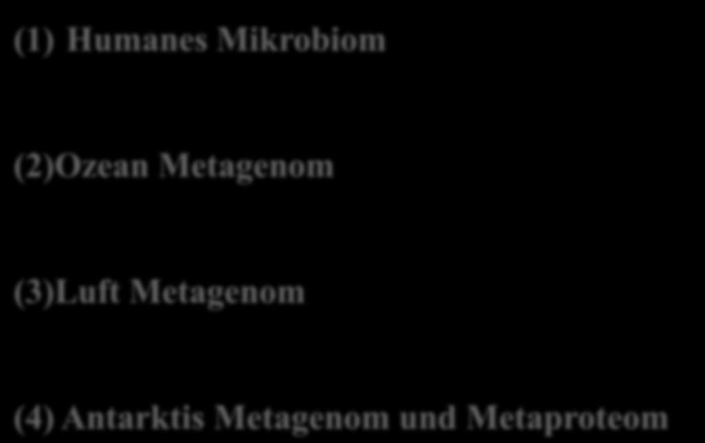Metagenomik