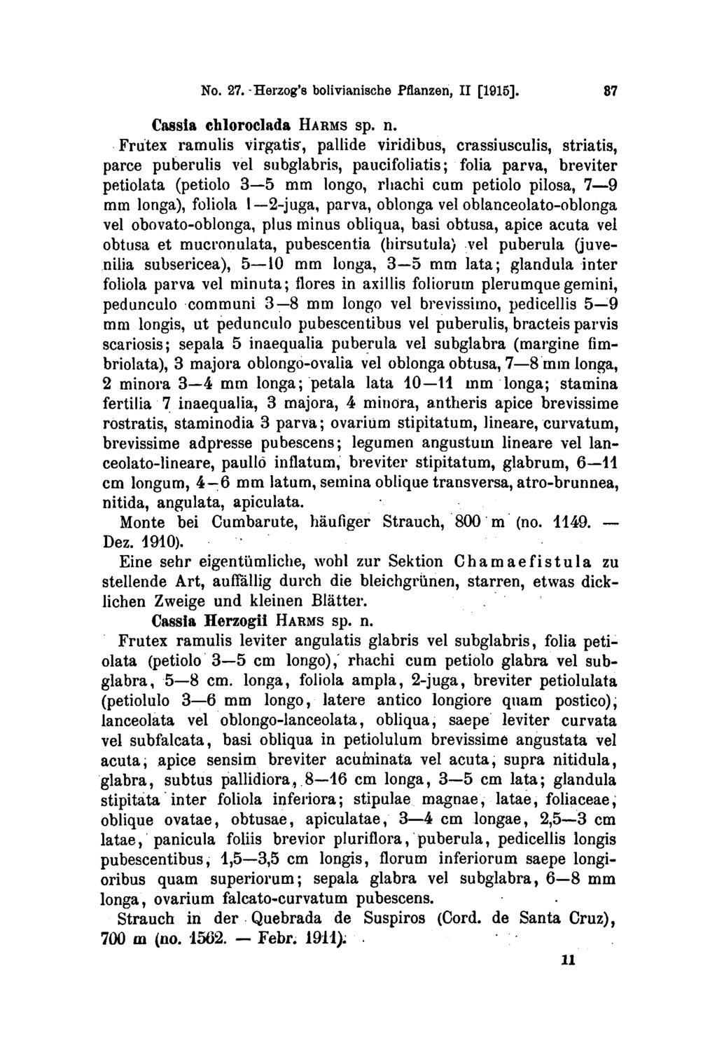 Febr. 11 No. 27. Herzog's bolivianische Pflanzen, II [1915]. 37 Cassia chloroclada HARMS sp. n.