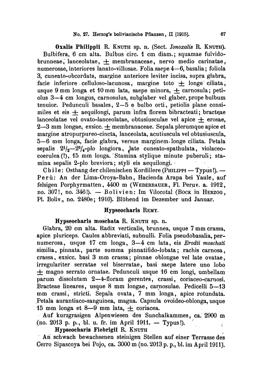 Bolivien: Typus!). No. 27. Herzog's bolivianische Pflanzen, II [1915], 67 Oxalis Philippii R. KNUTH sp. n. (Sect. Ionoxalis R. KNUTH). Bulbifera, 6 cm alta. Bulbus circ. 1 cm diam.