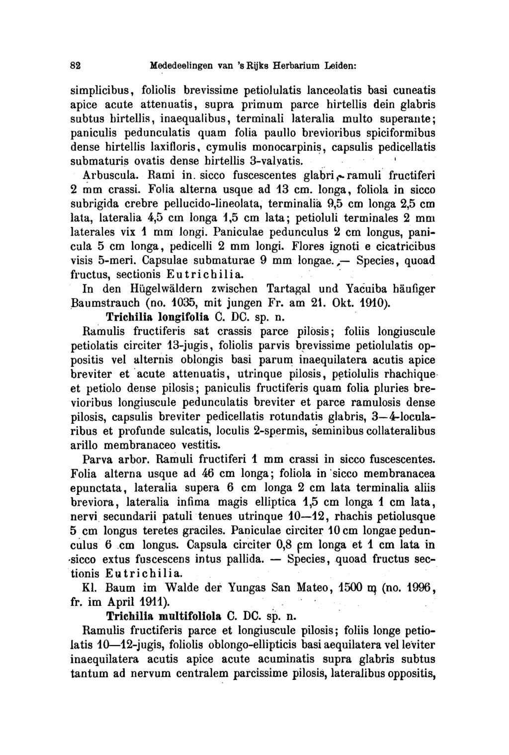 Species, Species, 82 Mededeelingen van 's Rijks Herbarium Leiden: simplicibus, foliolis brevissime petiolulatis lanceolatis basi cuneatis apice acute attenuatis, supra prirnum parce hirtellis dein