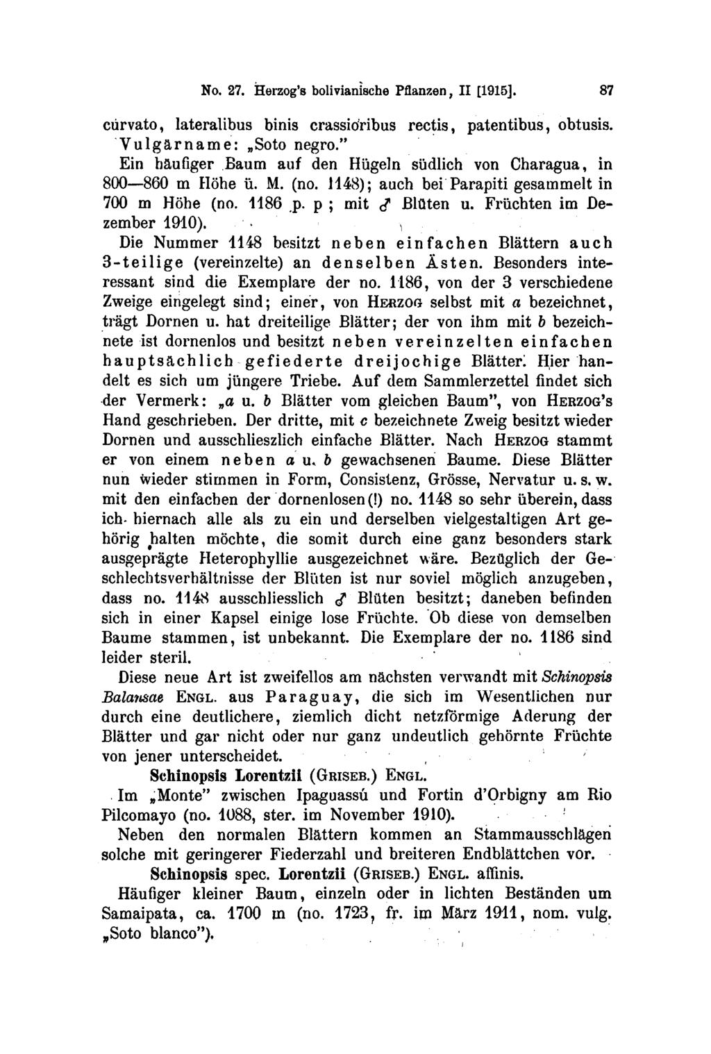 No. 27. Herzog's bolivianische Pflanzen, II [1915]. 87 curvato, lateralibus binis crassiöribus rectis, patentibus, obtusis. Vulgärname: Soto negro.