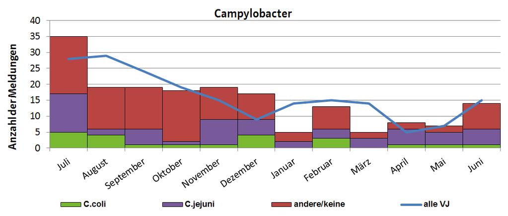 Abbildung 7 Gemeldete Campylobacter-Infektionen nach Erregertypen in bis 30.06.