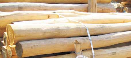 Geradfaseriges Holz vorausgesetzt lässt sich Robinie trotz der hohen Rohdichte und großen Härte mit allen Werkzeugen sowohl manuell als auch maschinell ohne Schwierigkeiten bearbeiten.