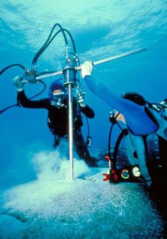 Korallenriffe als Klimaarchiv