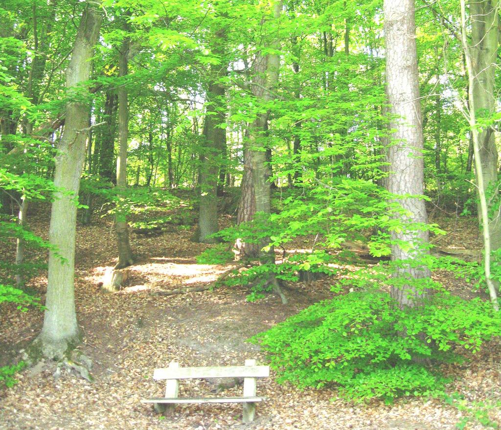 Wald Ort der Erholung nützen und schützen Dithmarscher Nachhaltigkeitsforum Der Mückenatlas 13.