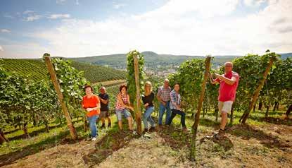 Weingut Kurth Bad Neuenahr Seit Generationen betreibt die Familie Kurth Weinbau. Dann, 2007, gründete Stefan Kurth das Weingut.