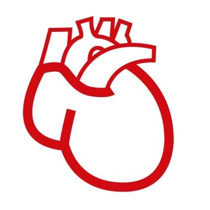 Herztransplantation 2017 Grafiken zum Tätigkeitsbericht 2017