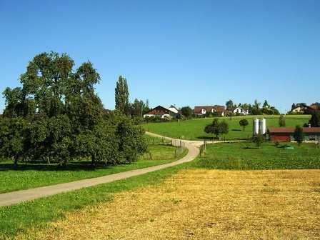 Bonau gut erschlossener Ortsteil der Politischen Gemeinde Wigoltingen Gut vernetzt und doch ländlich Wigoltingen, eine attraktive Gemeinde eingebetet zwischen der Thur und dem Seerücken, bietet