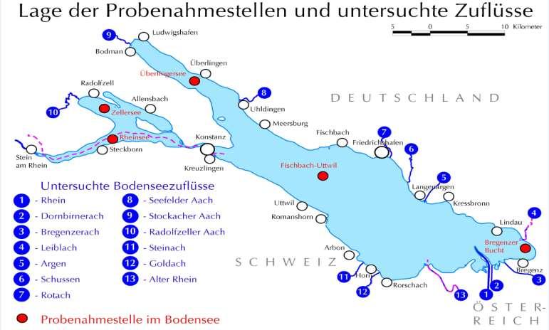 Bestandsaufnahme 2008: Untersuchung von Proben aus 4 Seeteilen durch EAWAG und