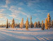 Vom Flughafen ist es nicht weit ins Holiday Club Hotel Tropiiki, Ihrem Domizil im winterlich verschneiten Norden Finnlands.
