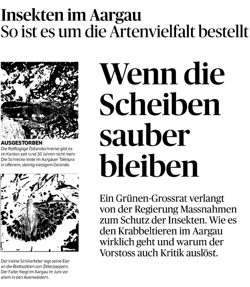 Ausschnitt Seite: 1/6 Insekten im Aargau So ist es um die Artenvielfalt bestellt AUSGESTORBEN Die