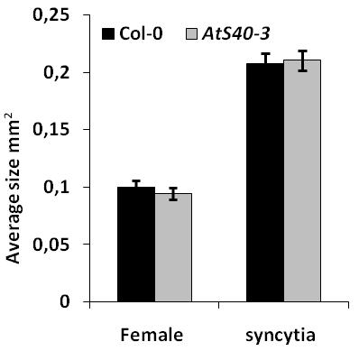 In addition to male and female numbers we also measured the syncytia and associated female sizes but no promising differences were observed compared with Col-0 wild types. a b c d Figure 3.