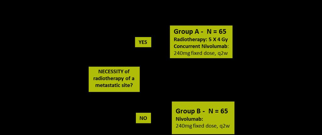 Prospektiv abscopal NSCLC Uni Heidelberg: A phase II