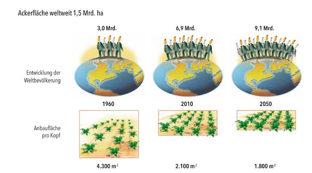 Wesentliche Treiber des Düngemittelgeschäfts Abnehmende Agrarflächen bei steigendem Proteinverbrauch pro Kopf Jahr 1960 2010 2050