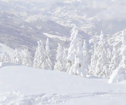 Wir wollen uns gemeinsam Mädchen und Jungen auf den Pisten des Skigebiets Christlum so richtig austoben.