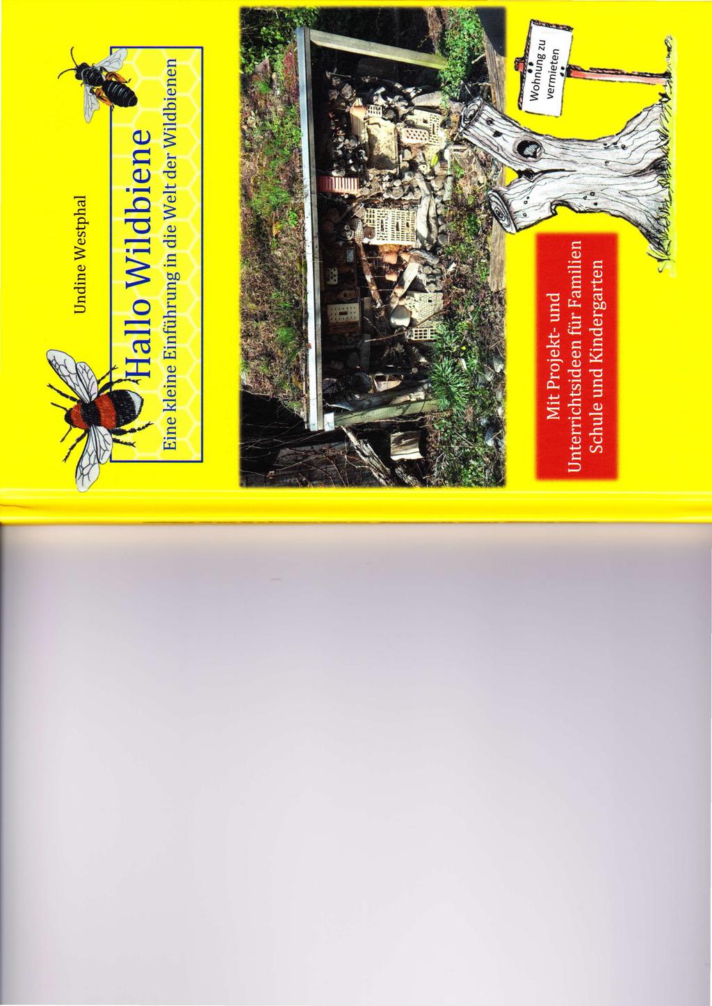 Undine Westphal allo Wildbiene Eine kleine Einführung in die Welt der Wildbienen B; l,