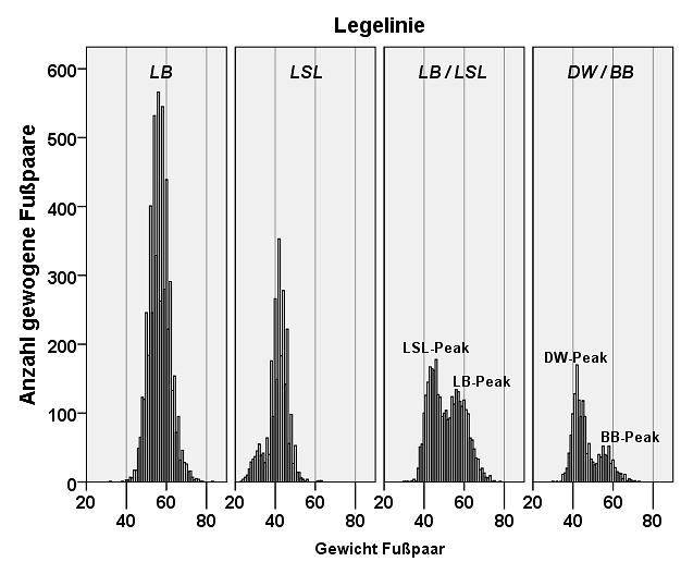 IV. ERGEBNISSE 75 Abbildung 26: Verteilung der Fußpaargewichte (in g) vergleichend für die Legelinien LB, LSL, LB/LSL gemischt und DW/BB gemischt.