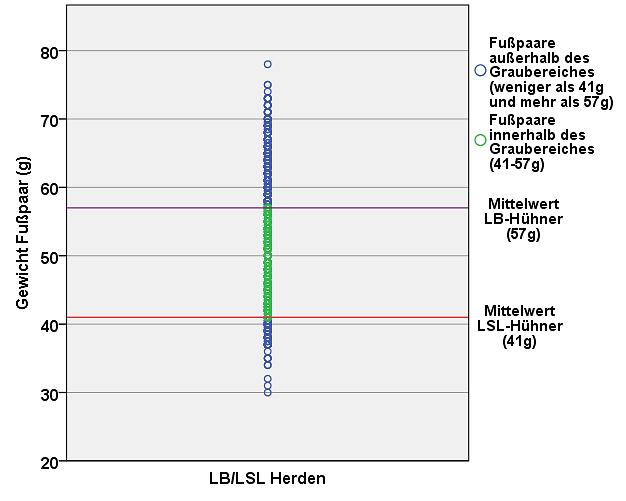 IV. ERGEBNISSE 76 Abbildung 27: Verteilung der Fußpaargewichte in den aus LB- und LSL-Hennen bestehenden gemischten Herden.