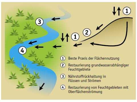 Feuchtgebiete in den Bewirtschaftungsplänen weitgehend