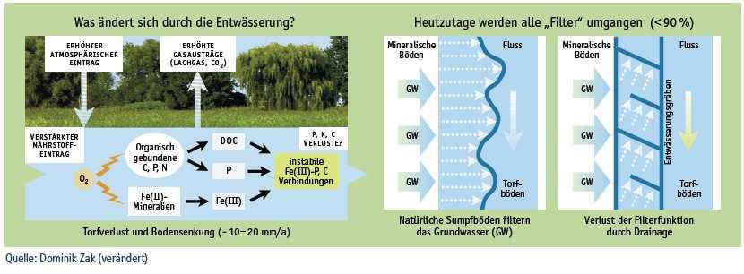 keine Maßnahmen Feuchtgebiete als Retentionsstrukturen für