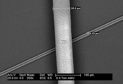 2.2 Textile Verstärkungsfasern 2 Bild 2: Größenvergleich zwischen einem menschlichen Haar und einer Kohlenstoffaser im Rasterelektronenmikroskop. (Foto: Carbon Composites e.v/amu Universität Augsburg.