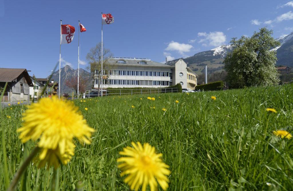 Über uns Das Elektrizitätswerk Obwalden (EWO) ist das führende Energiedienstleistungsunternehmen im Kanton Obwalden.