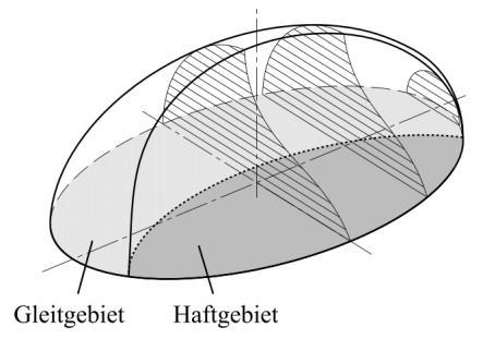 a* F c 1 T a μ0 FR (3) In die Formel (2) einbezogen ist der Zusammenhang zwischen Berührlänge und Berührbreite bei Linienkontakt nach Hertz.