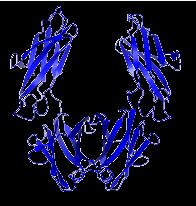 Faktor-IX-/Fc-Fusionsprotein; rfix = rekombinanter