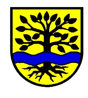 Gemeinde Ammerbuch Landkreis Tübingen Richtlinien zur Förderung der