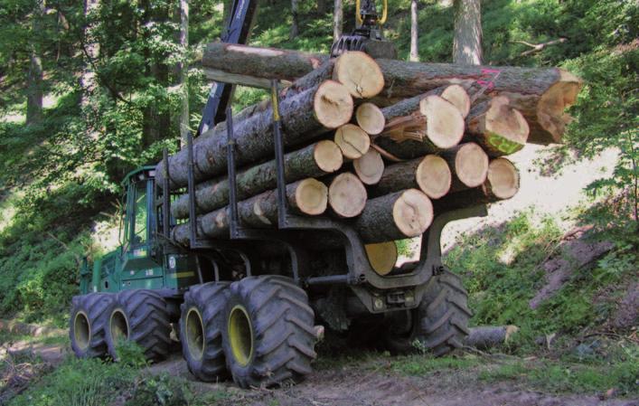 Moderne Technik hilft den verbleibenden Wald zu schonen auch und gerade wenn es um die Ernte starker Bäume geht. Und wie sieht es mit den Buchen aus, deren Anteil in den Wäldern beständig wächst?