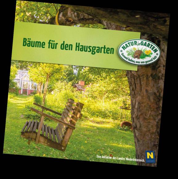 Bäume für den Hausgarten Hainbuche - Carpinus