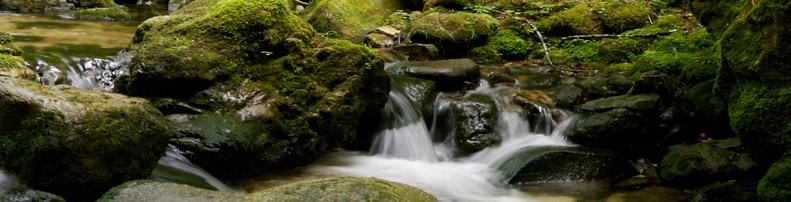 20% Ente), Fleischbrühe* (25,5%), Kartoffeln (5%), Mineralstoffe (1%), Olivenöl (0,5%) Wild & Ge Iügel mit Vollkornnudeln und Leinöl Wild (34%), Geflügel (34%, davon mind.