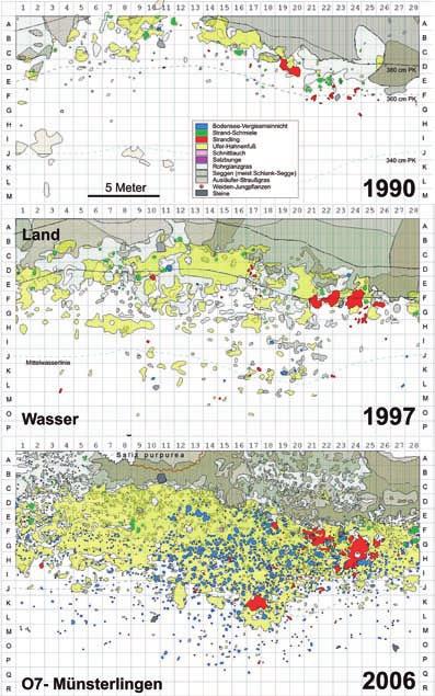 Die Dynamik der Strandrasen am Thurgauer Bodenseeufer seit 1990 221 Ergebnisse In Abbildung 5 bis Abbildung 9 werden die Vegetationskarten von drei besonders interessanten Strandrasen-Wuchsorten aus