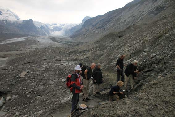 Abb. 7: Der Fundort im Gletschervorfeld der Pasterze: Detailfoto mit Blick in Richtung NW zum