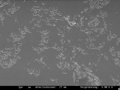 Innovation Nanoleuzitstruktur Rissfreie Mikrostruktur, in der feinste Leuzitkristalle homogen verteilt sind. Viele Kristalle besitzen dabei eine Größe im Nanometerbereich (< 1 µm bzw.