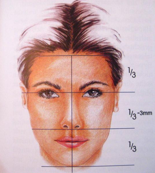 5.3 Metrische Gesichtsanalyse (Hönig, 2002) Im Gegensatz zu früher angewandten statischen Gesichtsanalysen wird heutzutage Anstelle dessen die dynamische Profilanalyse des Gesichts durchgeführt, die
