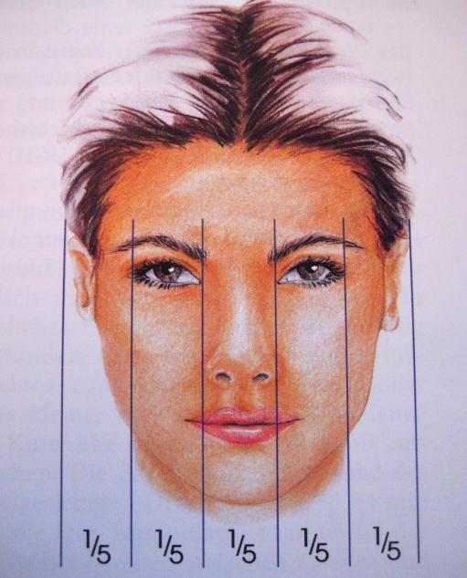 9 Bezugswerte Des Weiteren lässt sich das Gesicht auch noch in der Vertikalen in fünf Segmente einteilen (Abb.10: Hönig, 2002).