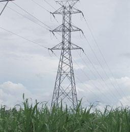 Central Tarlac Biopower Weitere Bilder zu Central Tarlac BioPower Central Tarlac BioPower Inc.